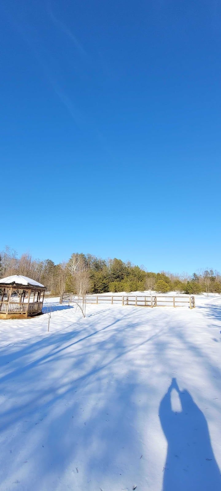 Four Paws Kingdom Campground & Dog Retreat