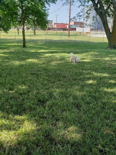 Sabetha Dog Park - Sabetha, KS