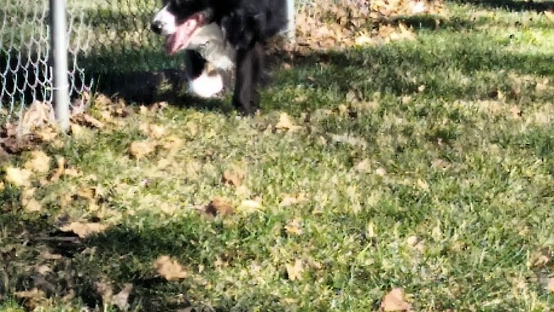 Sabetha Dog Park - Sabetha, KS