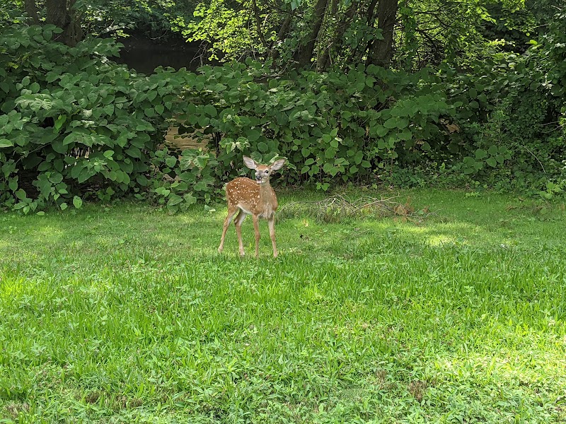 Saddle River County Park - Saddle Brook, NJ