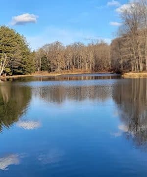Allegany State Park - Quaker Area