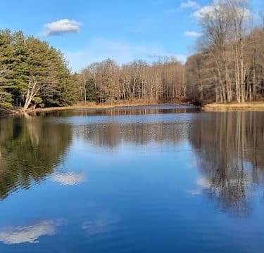 Allegany State Park - Quaker Area