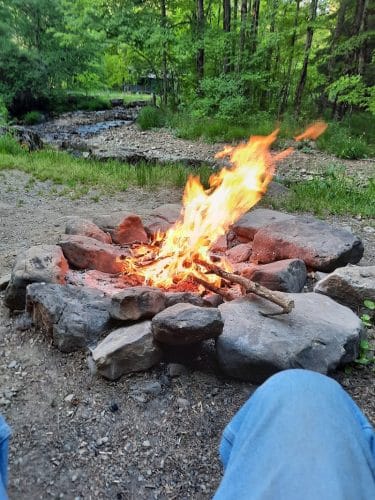 Allegany State Park - Quaker Area