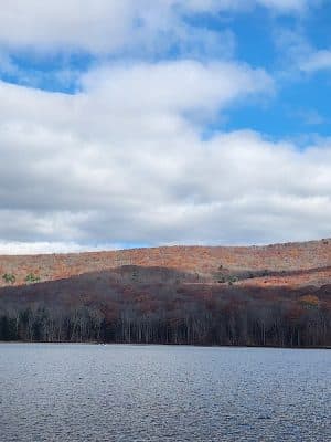 Allegany State Park - Quaker Area
