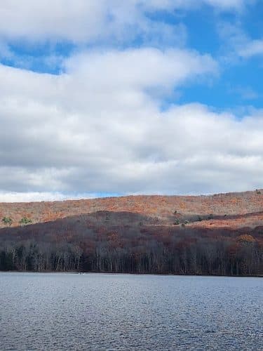 Allegany State Park - Quaker Area