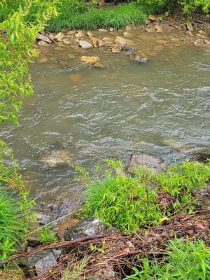 Allegany State Park - Quaker Area