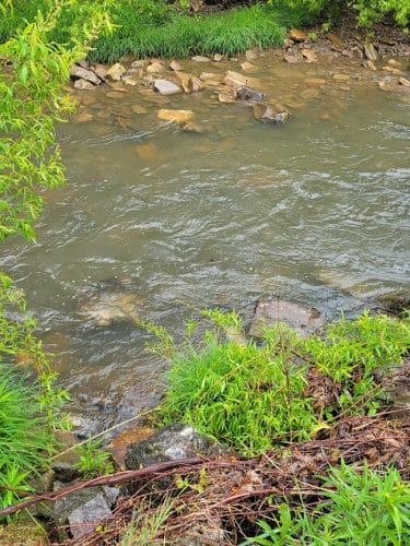 Allegany State Park - Quaker Area