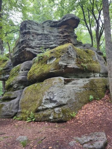 Allegany State Park - Quaker Area