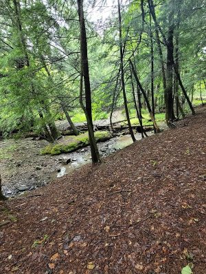 Camp Allegany, Allegany State Park