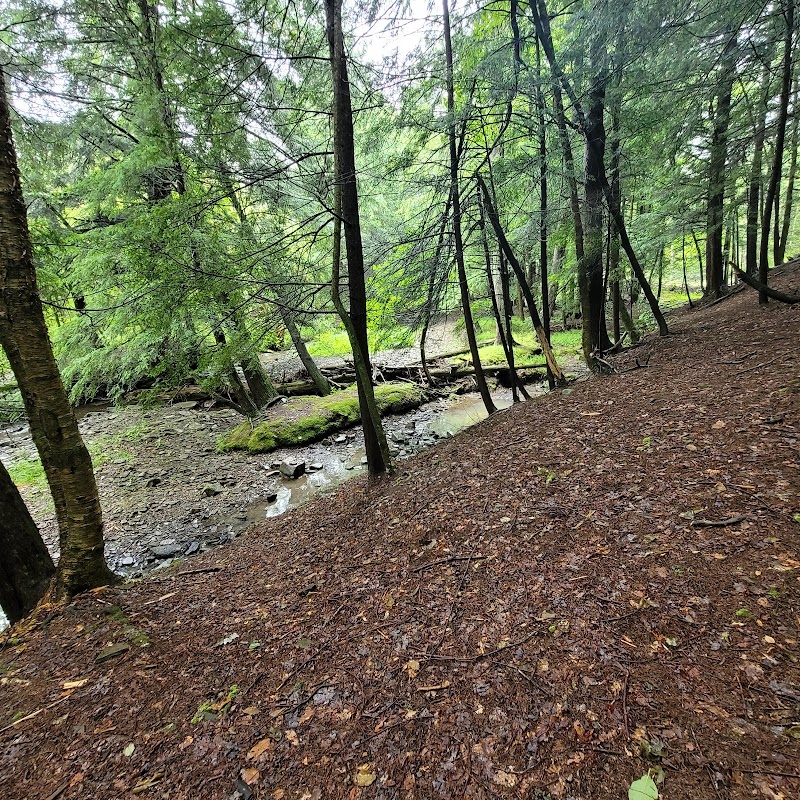 Camp Allegany, Allegany State Park - Salamanca, NY