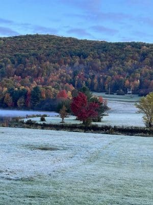 Camp Allegany, Allegany State Park