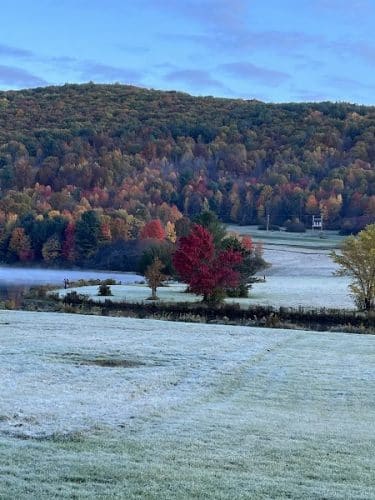 Camp Allegany, Allegany State Park