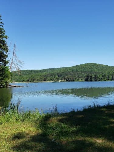 Red House Beach at Allegany State Park