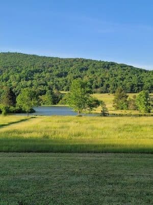 Allegany State Park