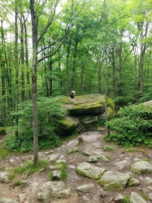 Allegany State Park