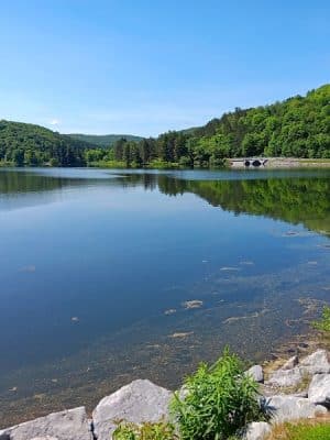 Allegany State Park