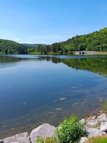 Allegany State Park