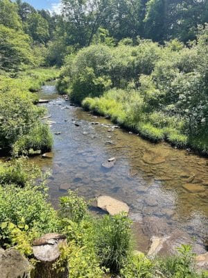 Allegany State Park