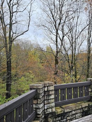 Allegany State Park