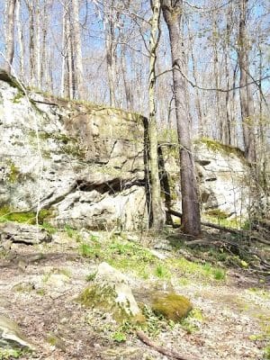 Allegany State Park - Red House Area