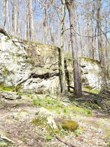Allegany State Park - Red House Area