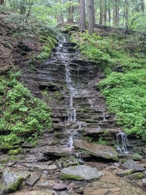 Allegany State Park - Red House Area