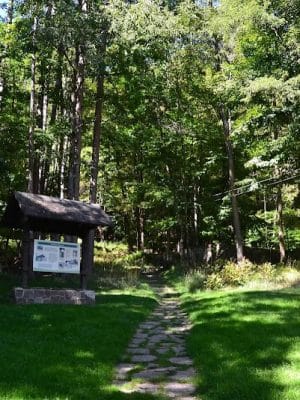 Allegany State Park - Red House Area