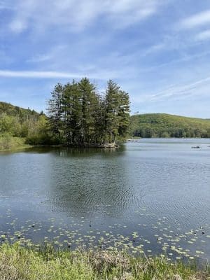 Allegany State Park - Red House Area