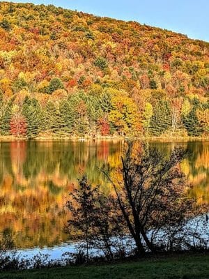 Allegany State Park - Red House Area