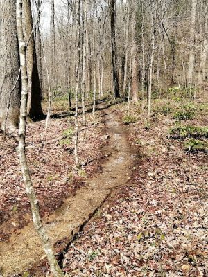 Lower Leggett Rd.Trail Head