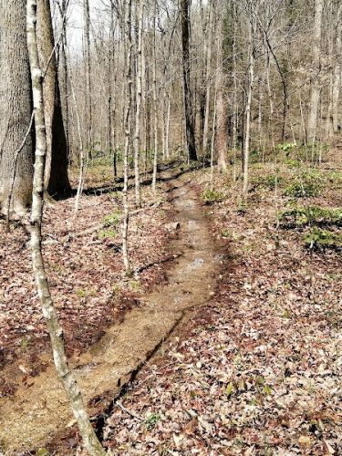 Lower Leggett Rd.Trail Head