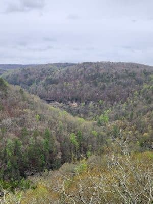 Lower Leggett Rd.Trail Head