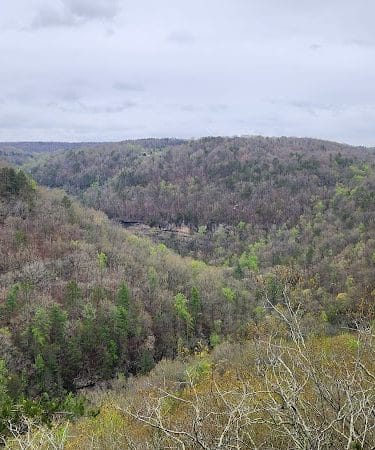 Lower Leggett Rd.Trail Head