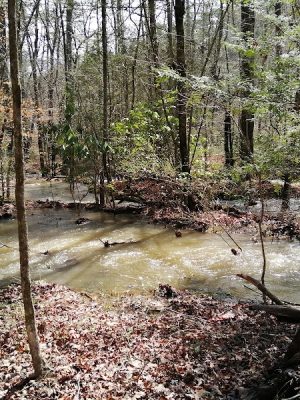 Lower Leggett Rd.Trail Head
