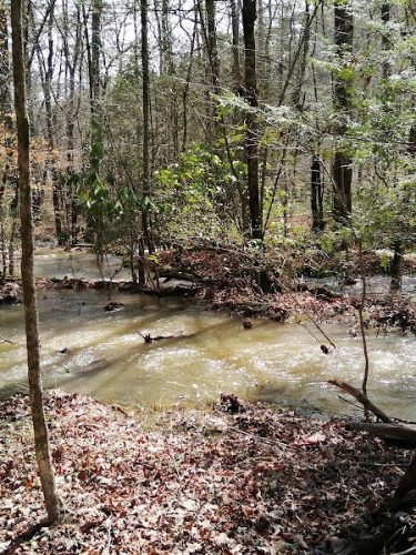 Lower Leggett Rd.Trail Head