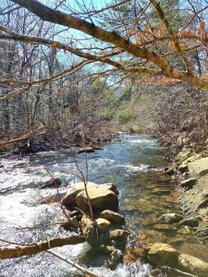Lower Leggett Rd.Trail Head