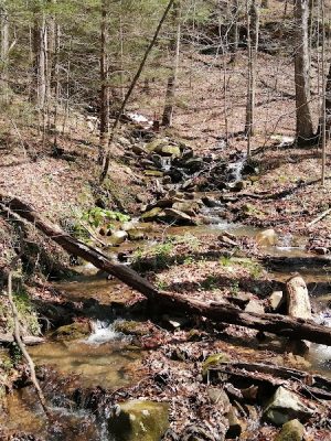 Lower Leggett Rd.Trail Head