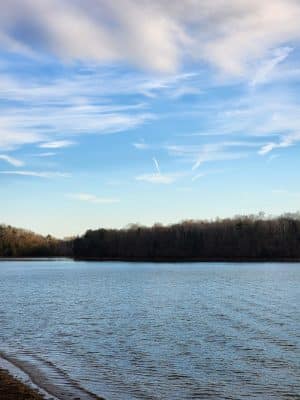 Sale Creek Recreation Area