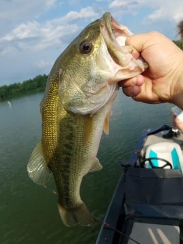 Sale Creek Recreation Area