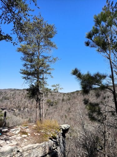 Upper Leggett Trailhead