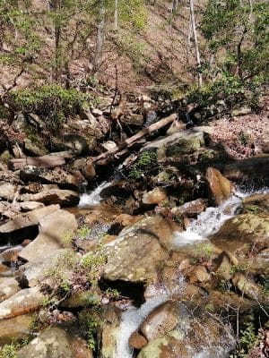 Upper Leggett Trailhead