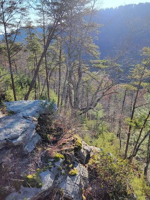 Upper Leggett Trailhead