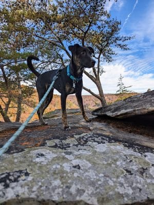 Upper Leggett Trailhead
