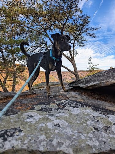Upper Leggett Trailhead