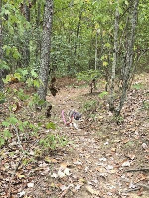 Upper Leggett Trailhead