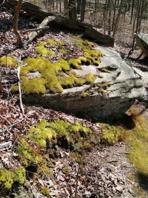 Upper Leggett Trailhead