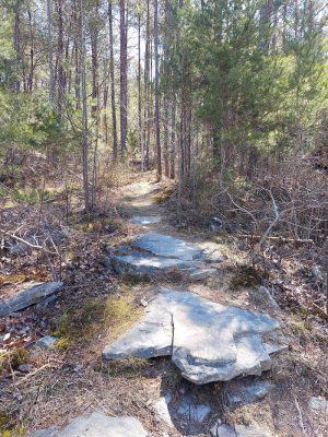 Upper Leggett Trailhead