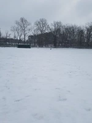 Salem Dog Park - Salem, IL