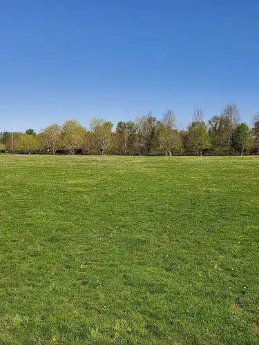 Minto-Brown Island Dog Park