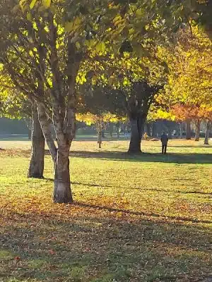 Minto-Brown Island Dog Park